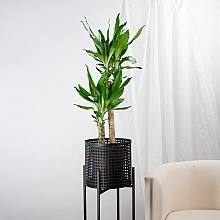 Alexandria Planter - L/20cm