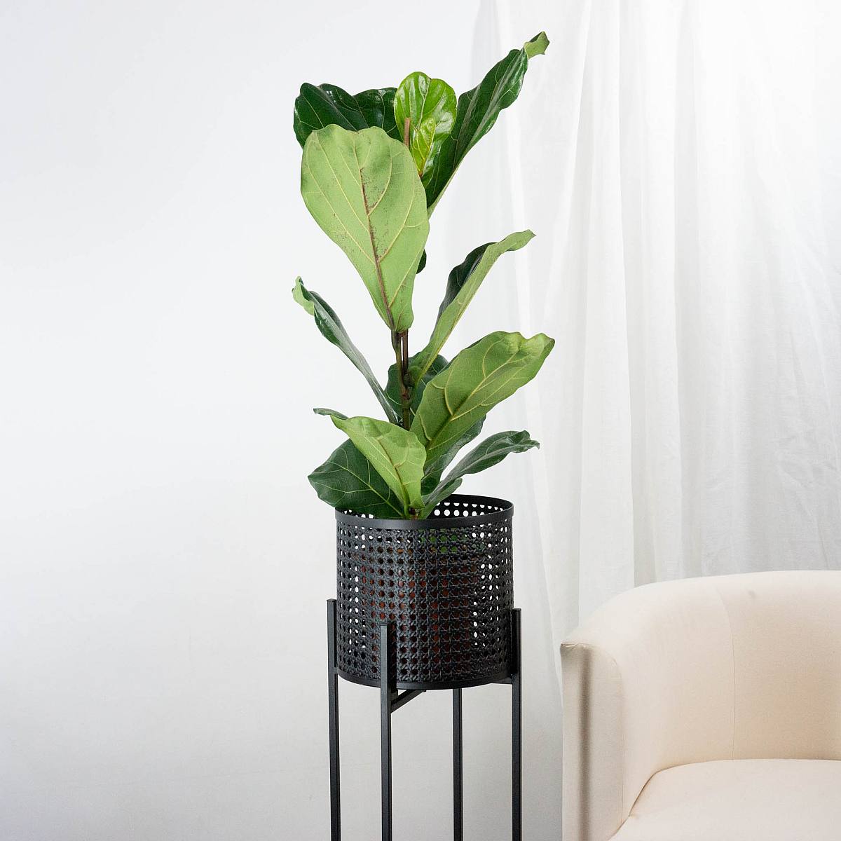 Alexandria Planter - L/20cm