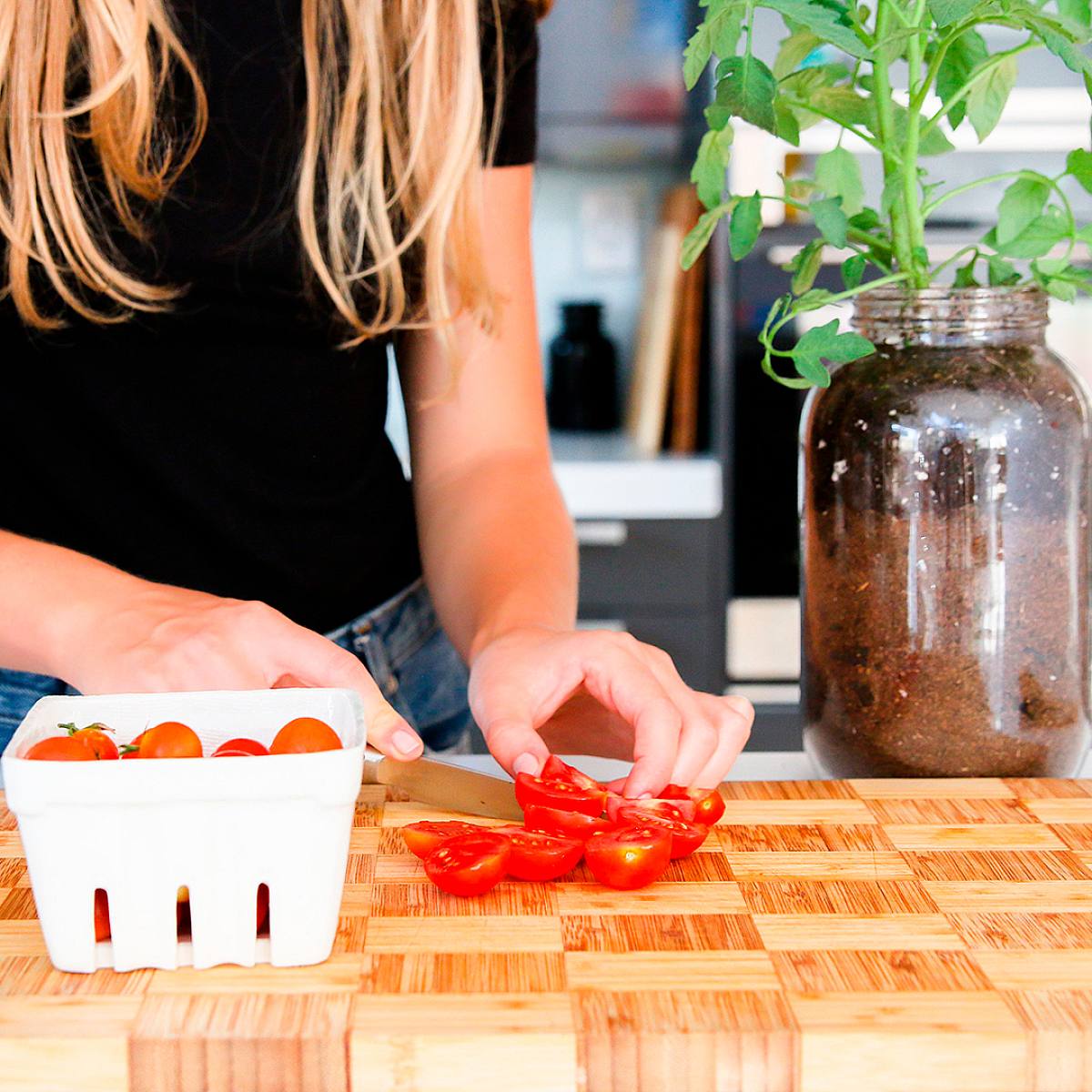 Cherry Tomato Growing Kit