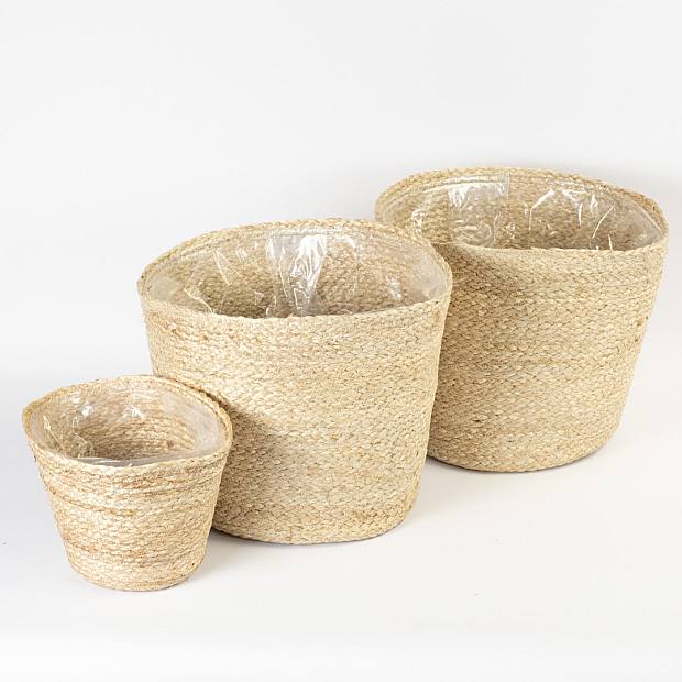 Nauru planter trio