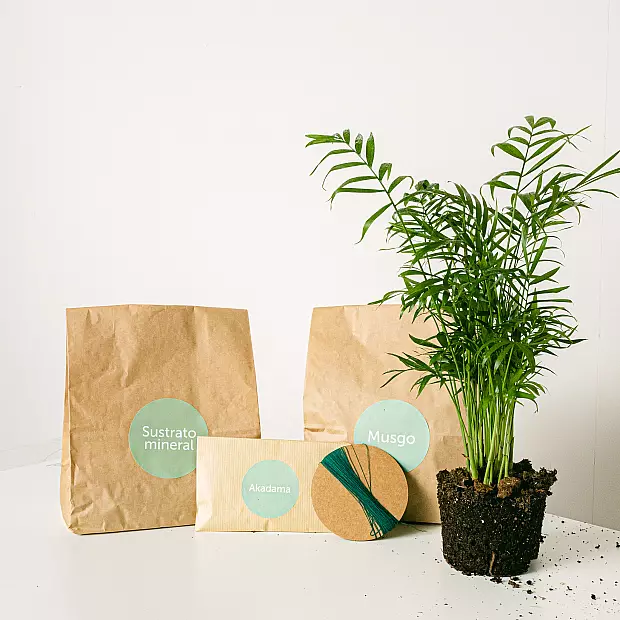 Gör-det-själv Kokedama Cham Pack