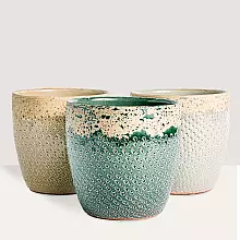 Trio Rustic Planters - M/15cm