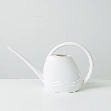 Aquarius Watering can related pic