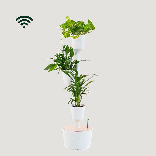 Green WiFi Tower S