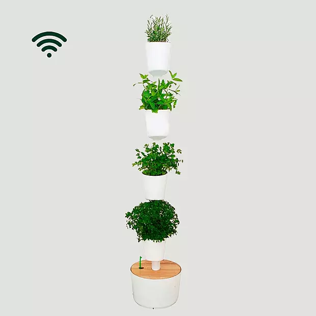 Smart Harvest Wifi M