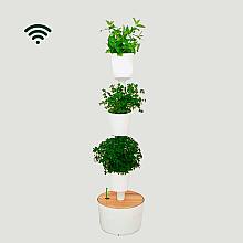 Smart Harvest Wifi S related pic