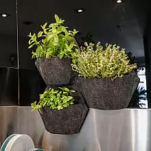 Smart Garden Trio