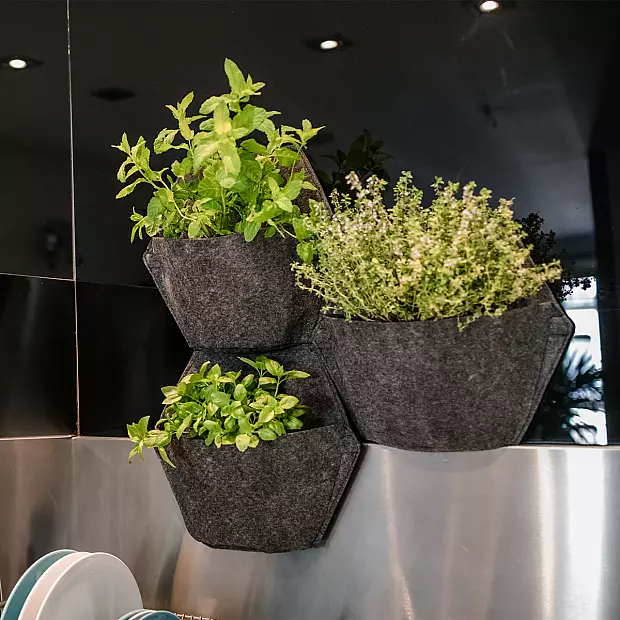 Smart Garden Trio