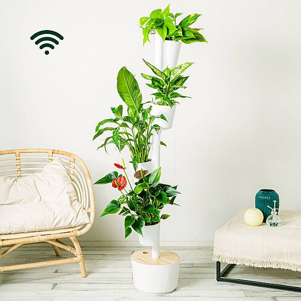 Groene WiFi-toren M