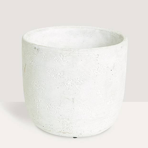 Jimmy Planter - M/17cm