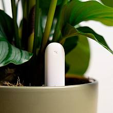 Naomi Plant Sensor