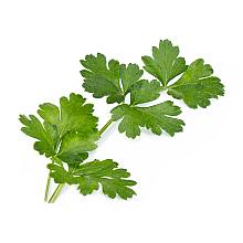 Parsley lingot related pic