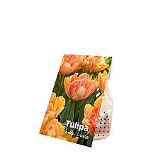 20 Bulbi di tulipani doppi color pesca